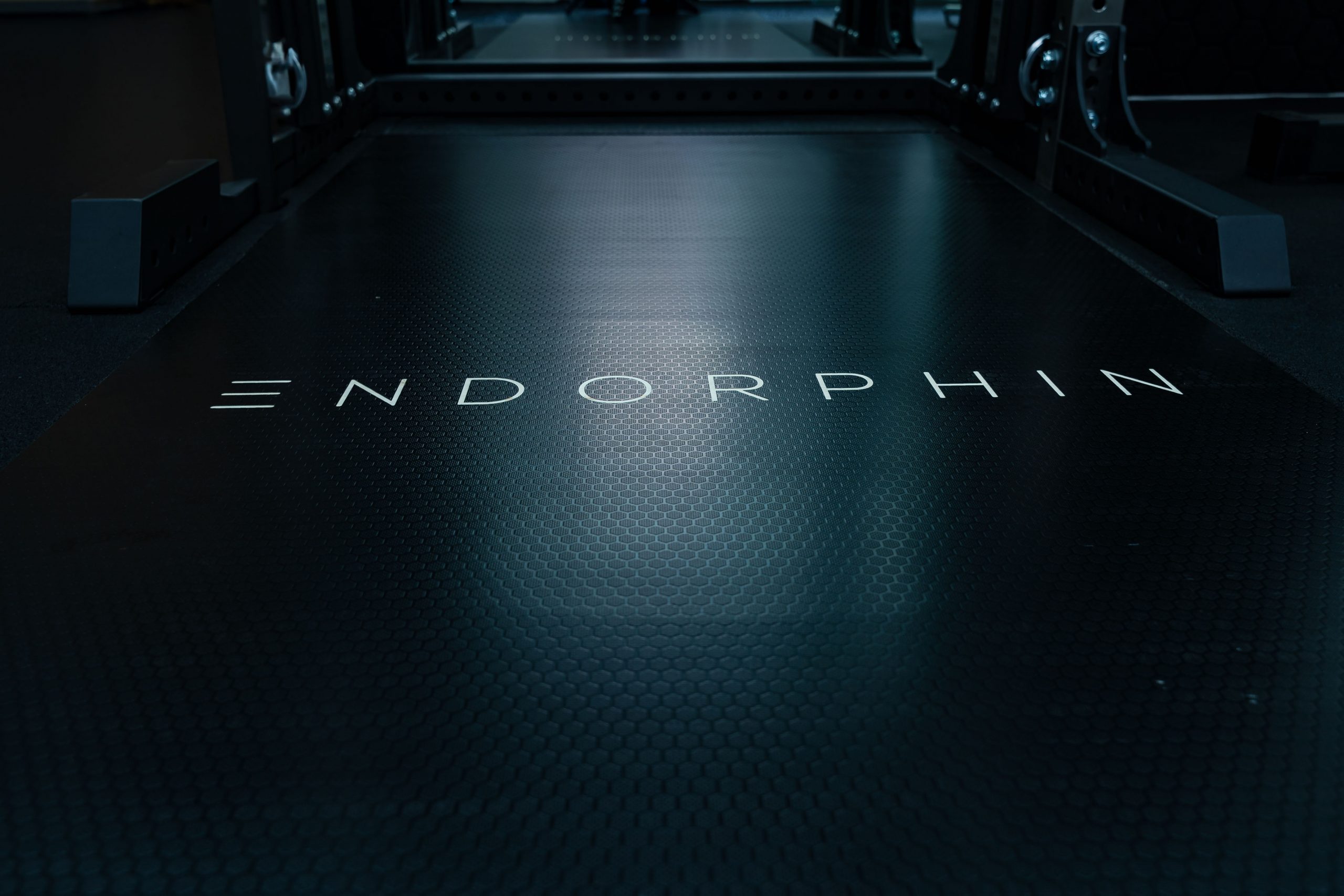 Decorative image of workout padded flooring with Endorphin wordmark
